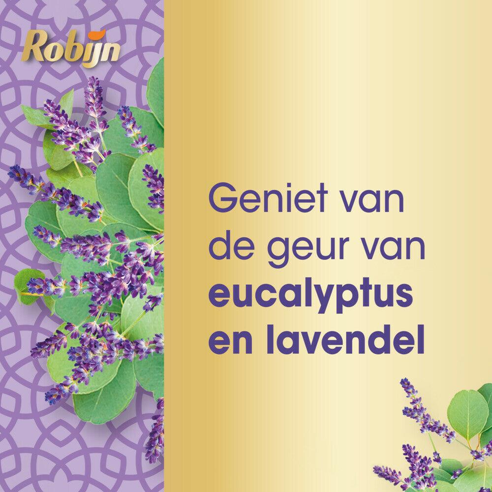 Robijn Lessive Spa Sensation 665 ml 19 Lessives