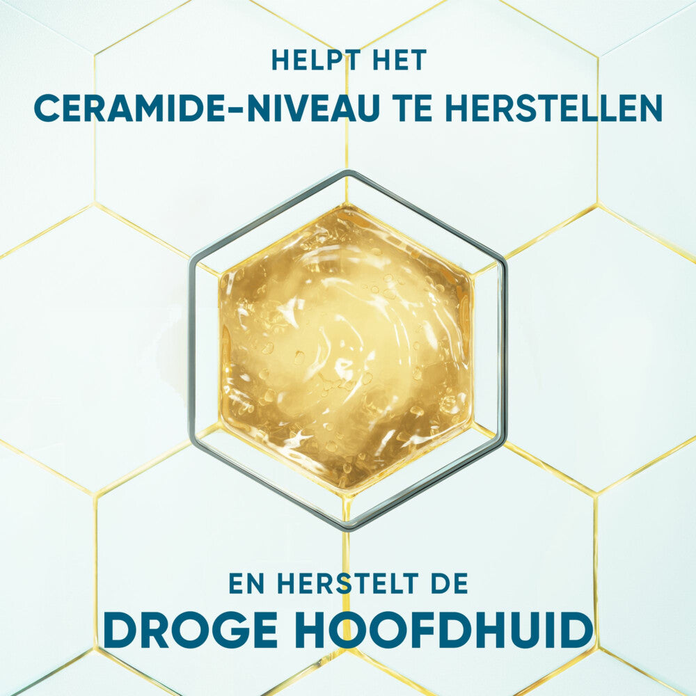 Head & Shoulders Anti-Schuppen Shampoo DERMAxPRO Feuchtigkeitspflege 250 ml