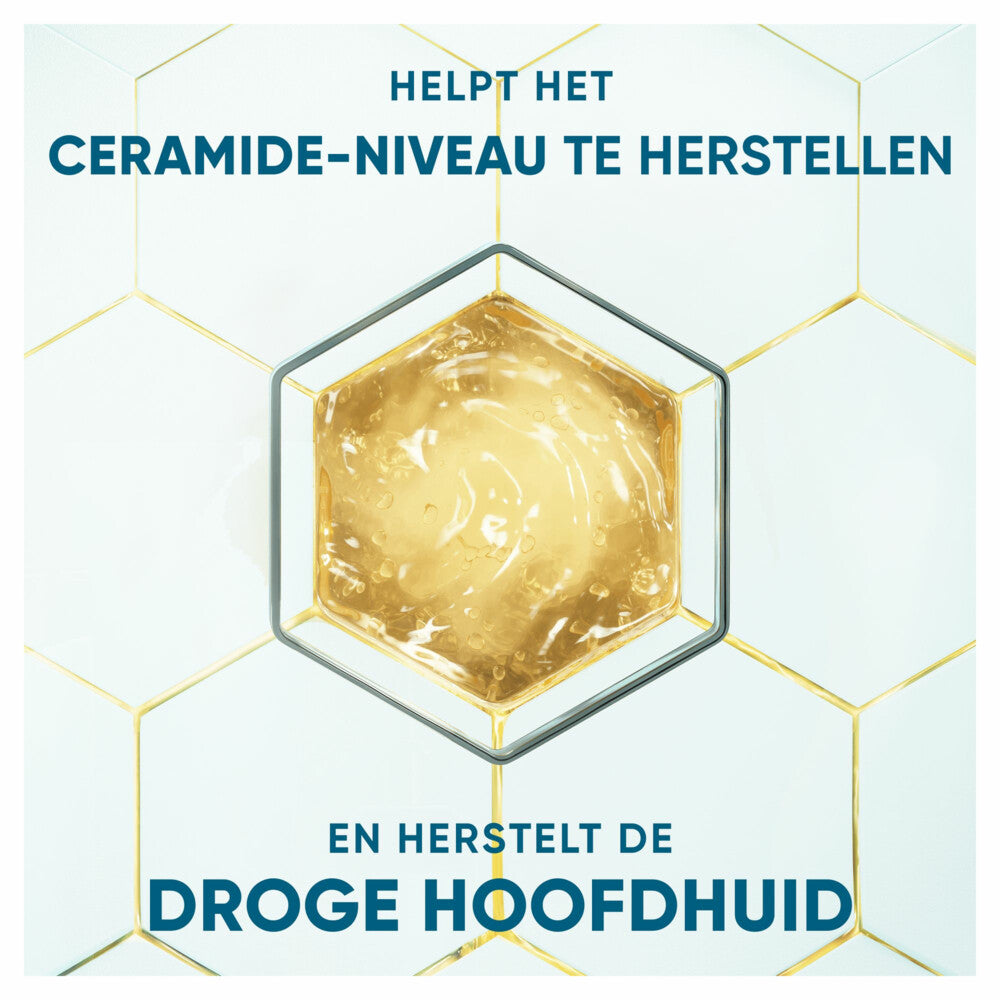 Head & Shoulders Anti-Schuppen Shampoo DERMAXPRO Revitalisiert 250 ml