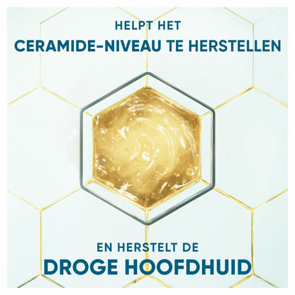 Head & Shoulders Anti-Schuppen Shampoo DERMAXPRO Revitalisiert 250 ml